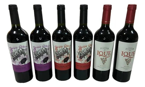 Combo 6 Vinhos Premium Malbec/cabernet Argentina