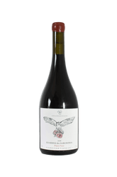 Vanessa Medin - Guardiã da Sabedoria 2021