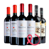 Kit 6 Vinhos Esperança
