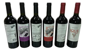Combo 6 Vinhos Premium Malbec/cabernet Argentina